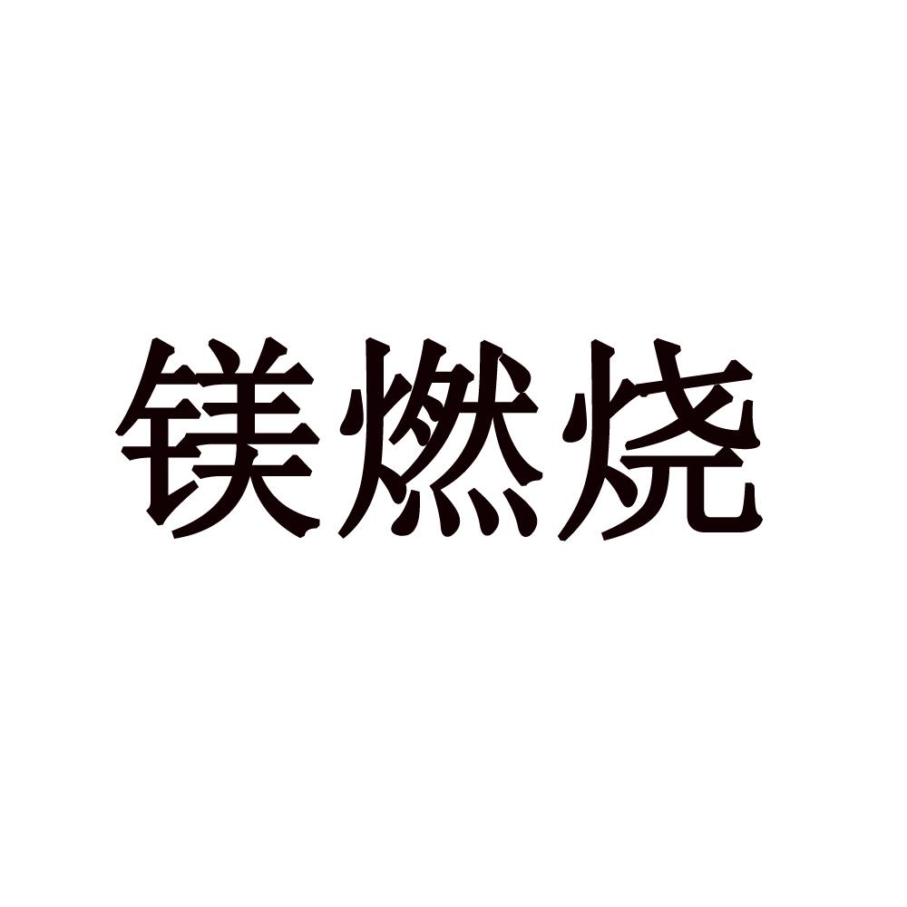 镁燃烧角铁商标转让费用买卖交易流程