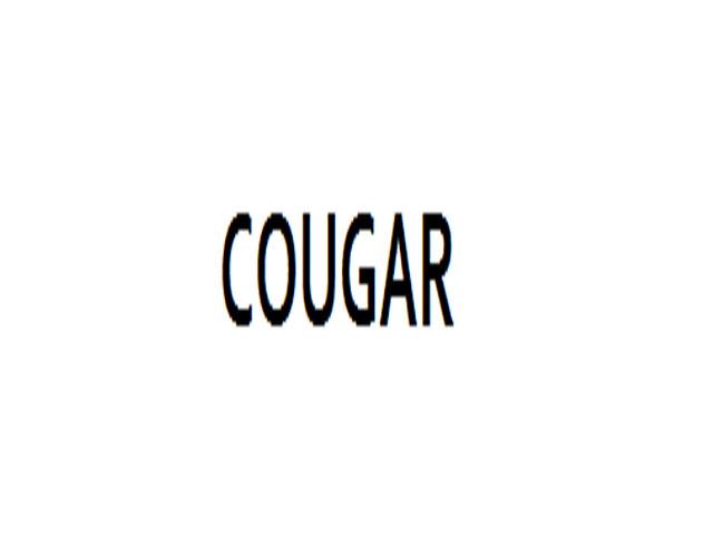 COUGAR瓷器装饰品商标转让费用买卖交易流程